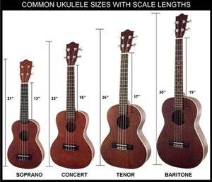 4 sizes of ukuleles
