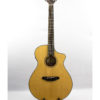 breedlove discovery concert ce acoustic electric guitar at Jerry Lee's Music