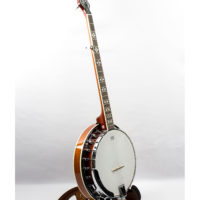 recording king rk r20 banjo at Jerry Lee's Music