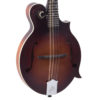 the loar honey creek mandolin at jerry lees music store
