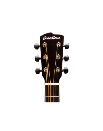 Breedlove Signature Concertina CE 5 at Jerry Lee's Music Store