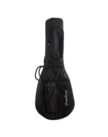 breedlove deluxe gigbag concert at jerry lee's music