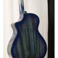 breedlove oregon concert blue eyes ce ltd 2 is available at jerry lees music store